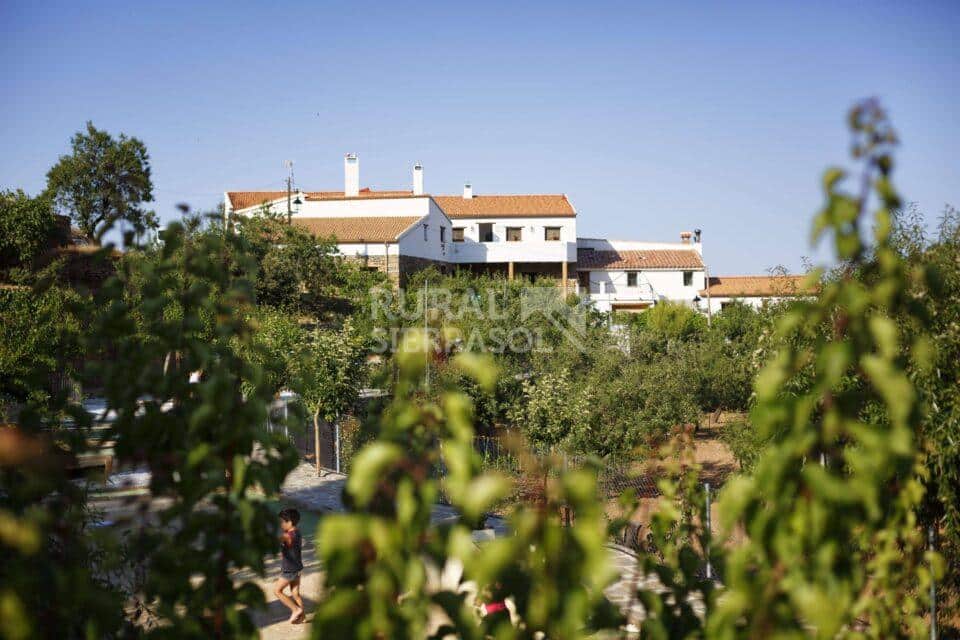 Vistas de Casa rural en Laroya (Almería)-4144
