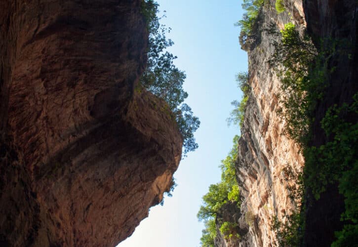 La Garganta Verde: Un Viaje Mágico por La Naturaleza