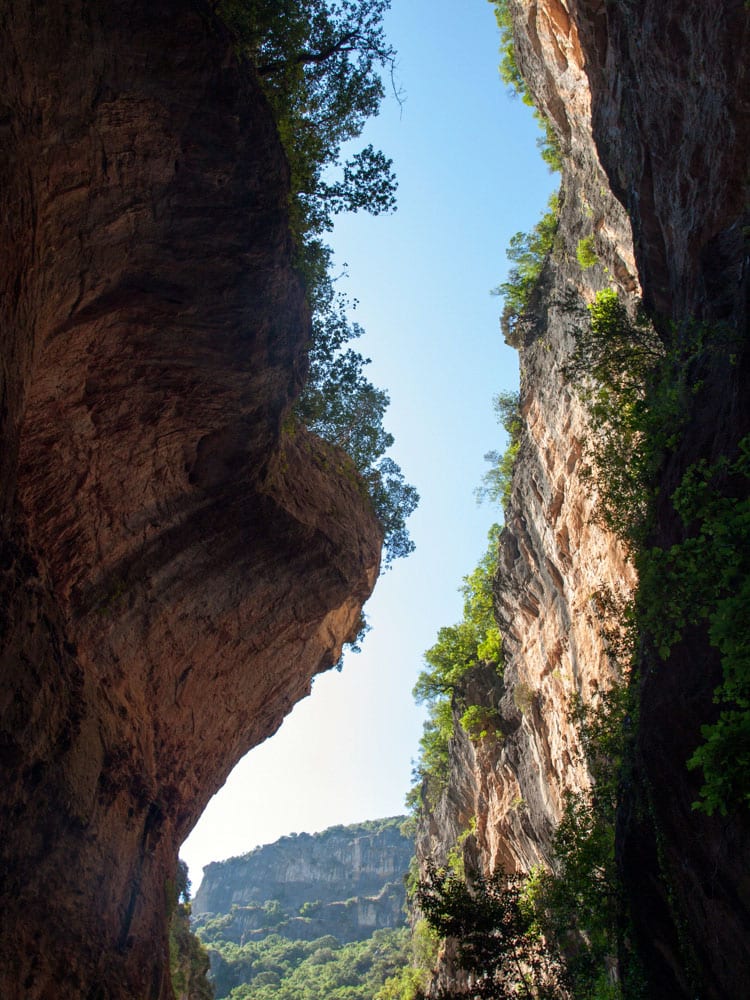 La Garganta Verde - Rural Sierra Sol