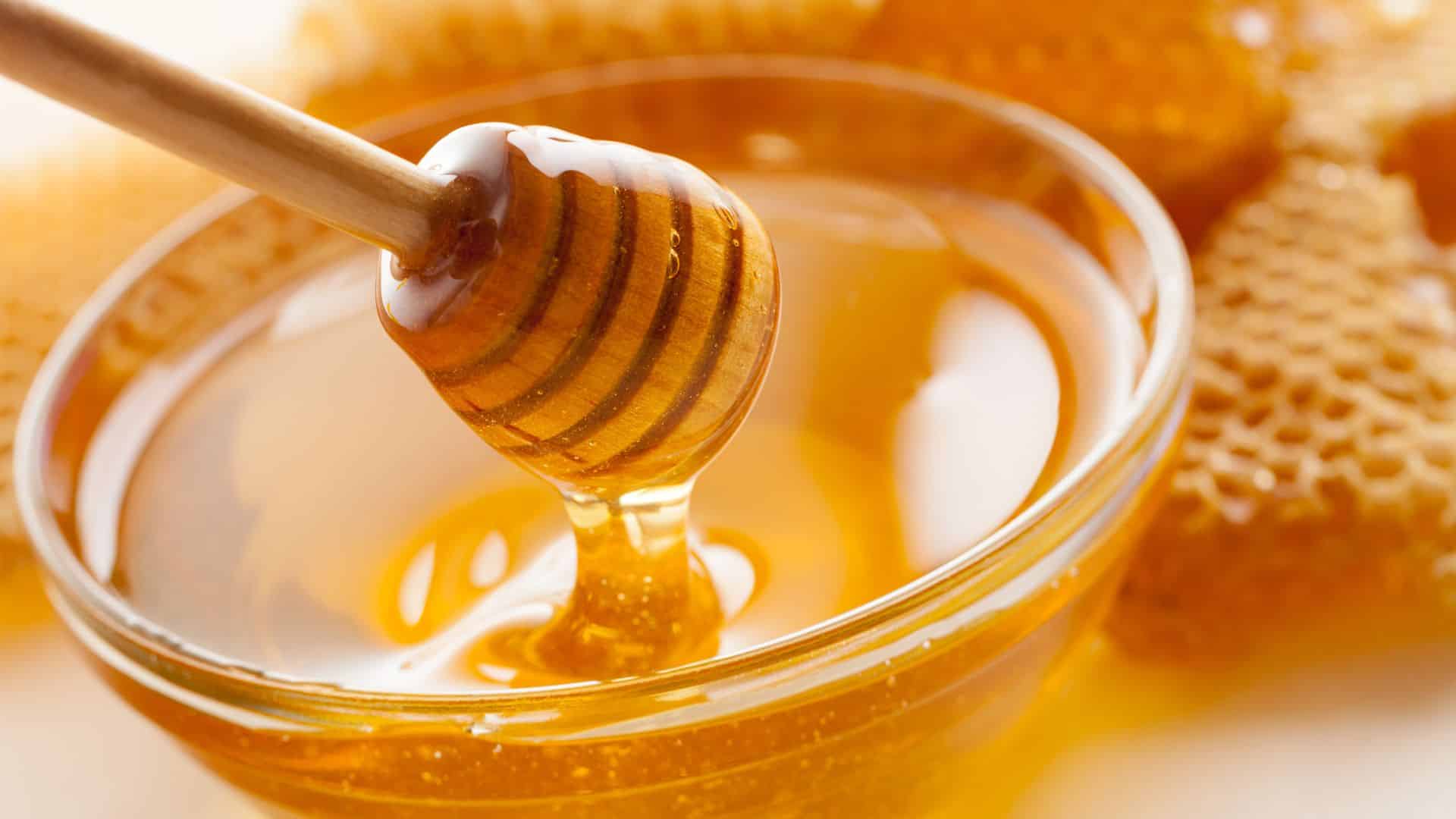 Tazón de miel de abejas - Rural Sierra Sol