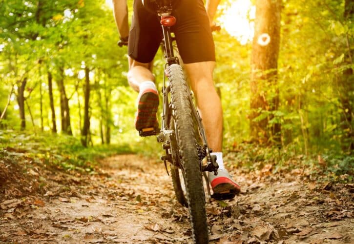 Ciclismo de montaña en la Sierra de Cádiz: aventura sobre ruedas