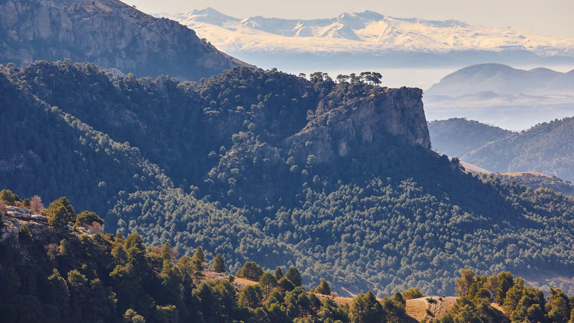 Paisaje Sierra de Cazorla-Rural Sierra Sol