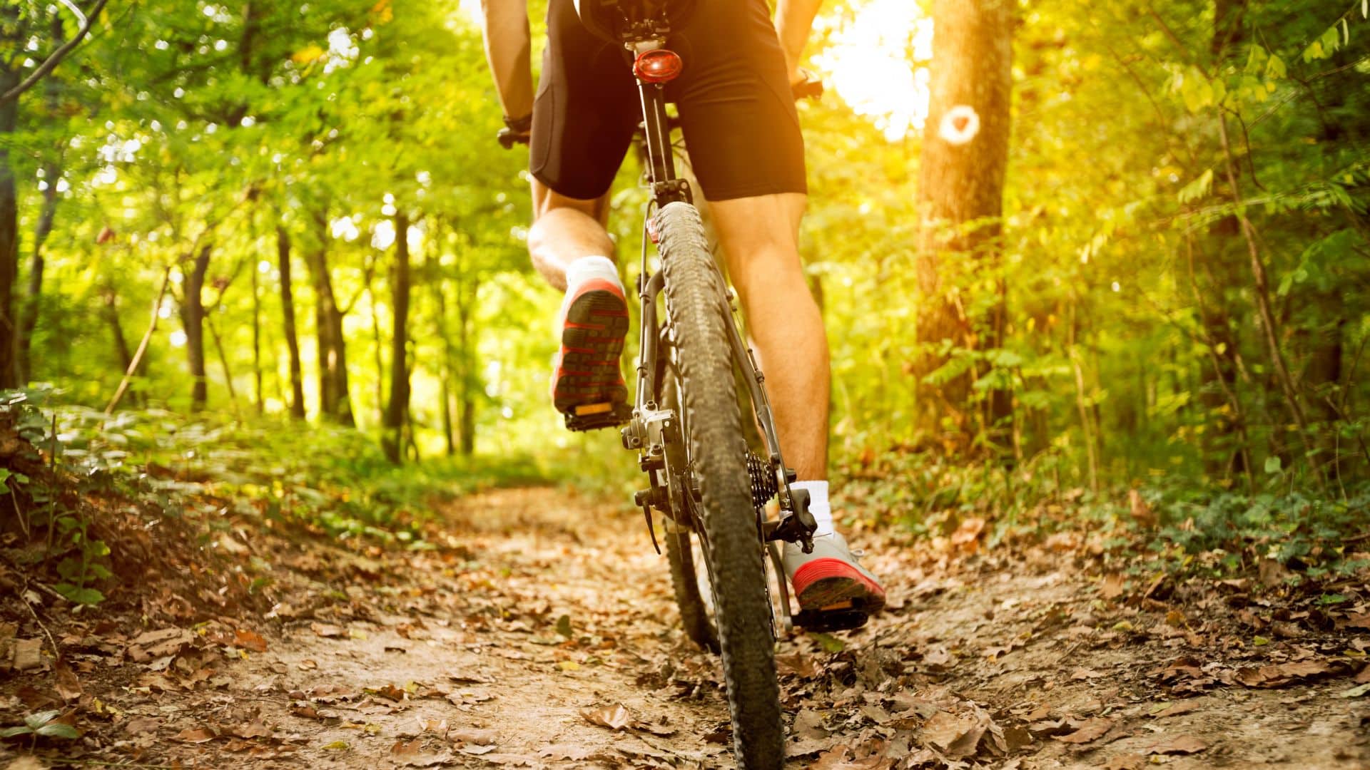Ciclismo de montaña en la Sierra de Cádiz-Rural Sierra Sol