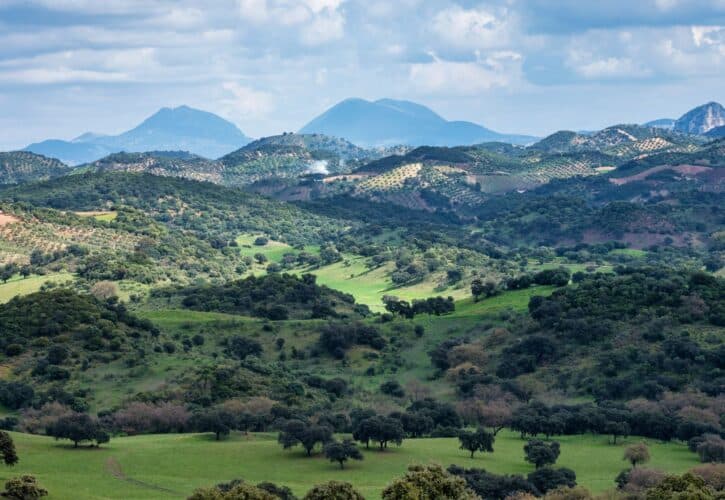 Paisajes naturales y ecoturismo en Grazalema y Alcornocales