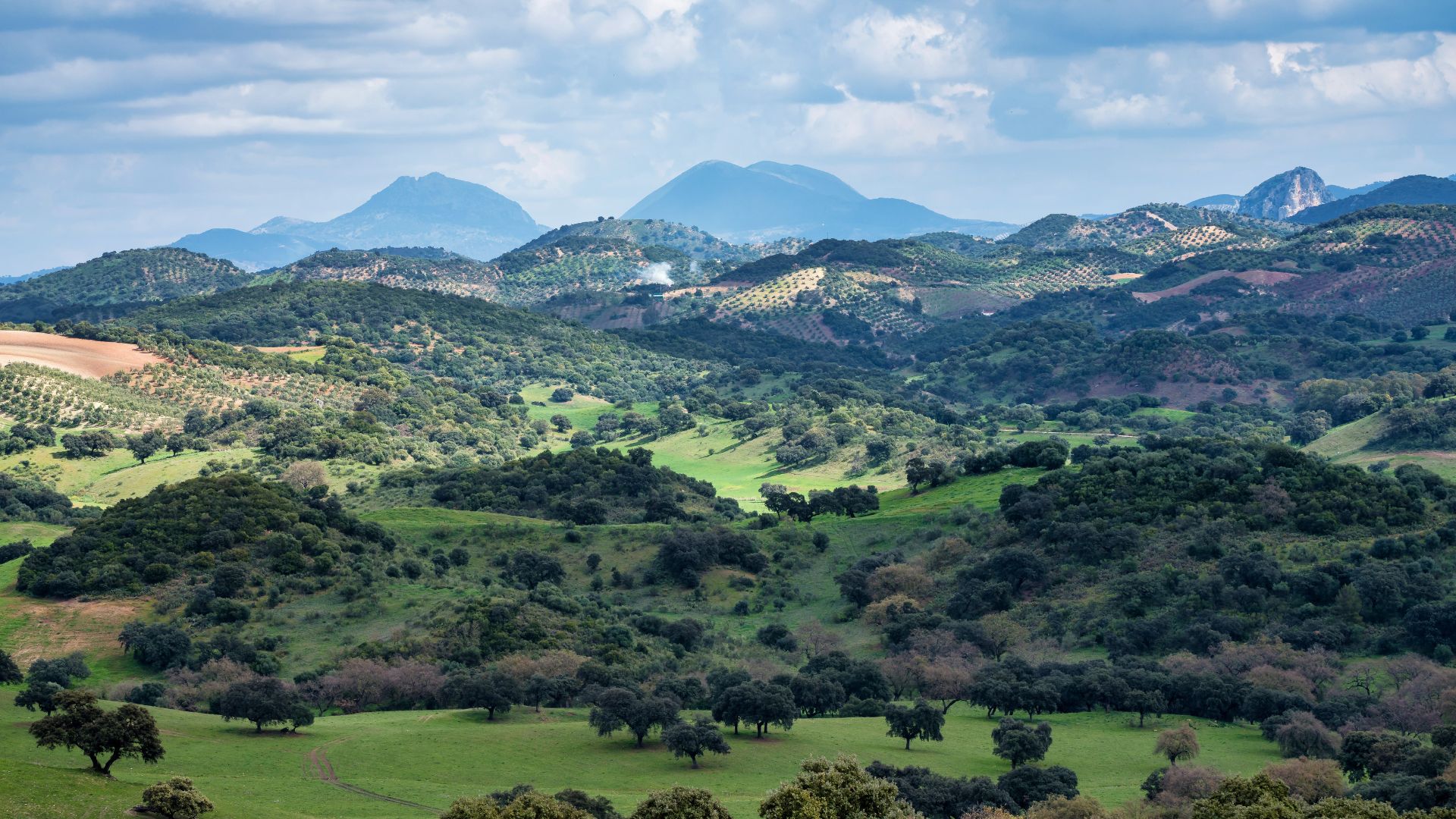 Parque Natural Sierra de Grazalema-Rural Sierra Sol