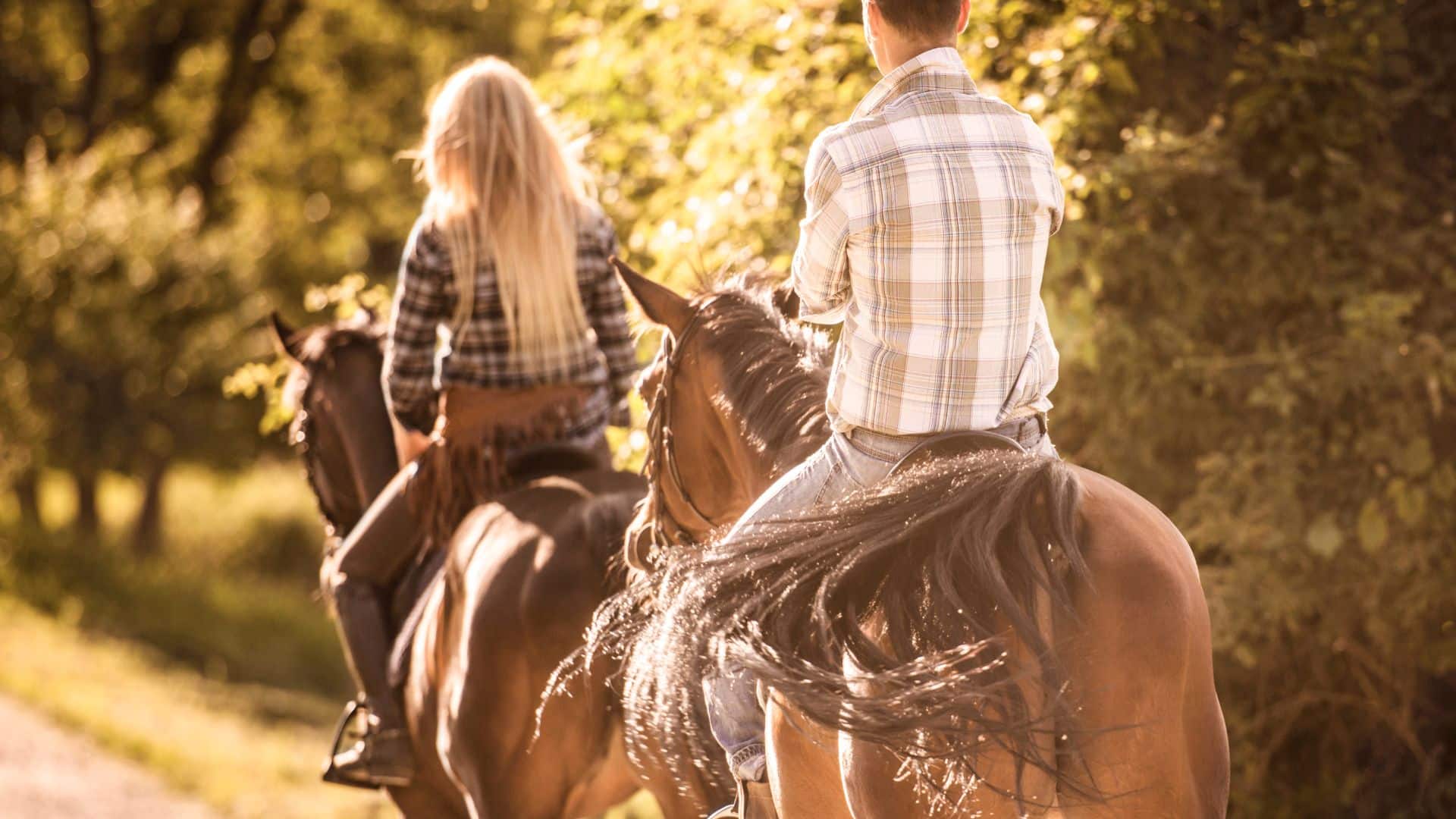 Paseando a caballo en la Sierra de Cazorla-Rural Sierra Sol