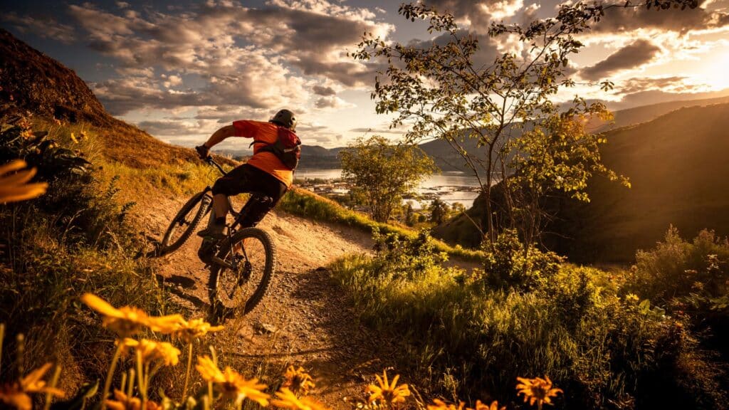 Ciclismo de montaña en la Sierra de Cazorla-Rural Sierra Sol