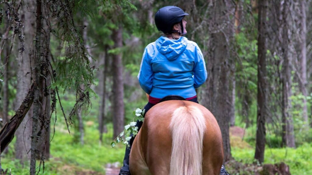 Paseando a caballo por la naturaleza-Rural Sierra Sol
