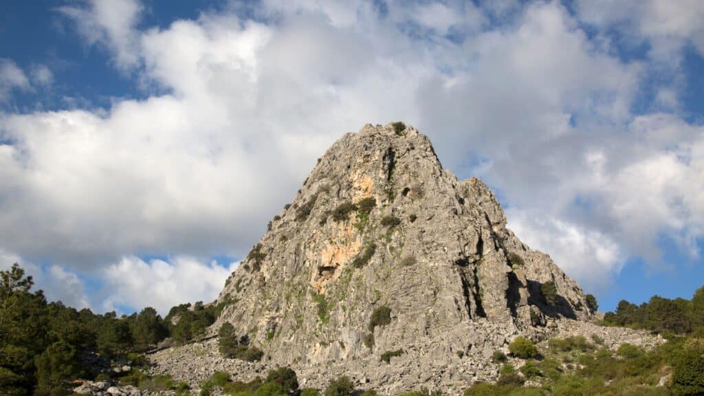 Sierra de Grazalema-Rural Sierra Sol