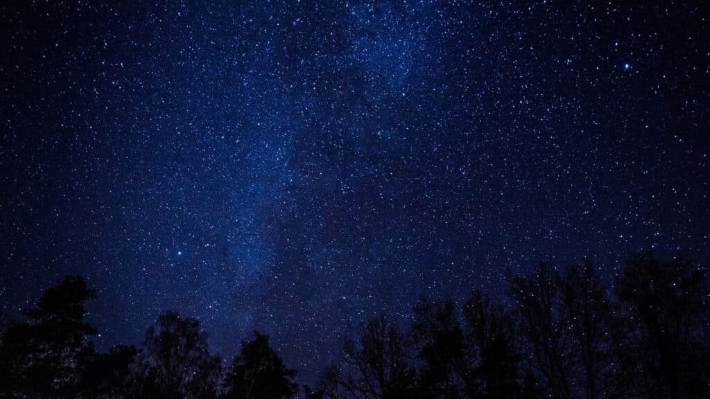 La noche en el bosque-Rural Sierra Sol