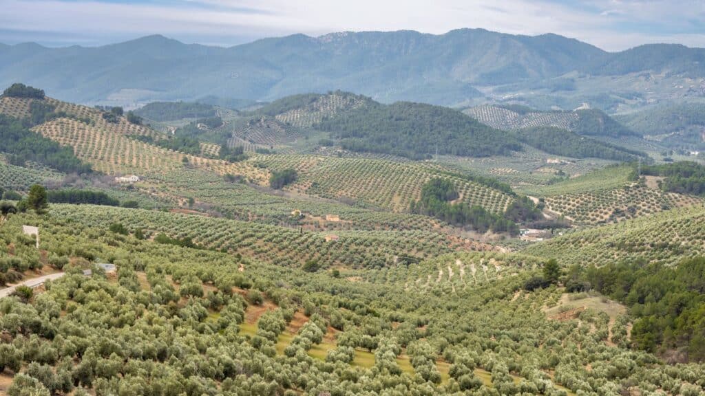 Sierra de Cazorla-Rural Sierra Sol