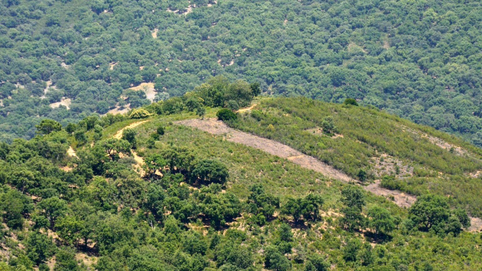 Paisaje del municipio de Benalauría-Rural Sierra Sol